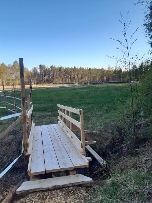 Koiramesässä Vihannissa on koirilla tilaa juosta